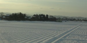 田んぼと畑にはまだまだ雪がたっぷりとあります。